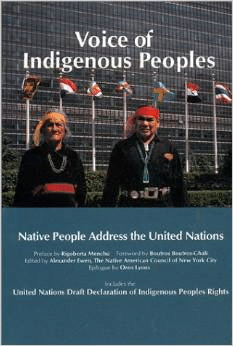 Voice Of Indigenous Peoples Native People Address The United Nations